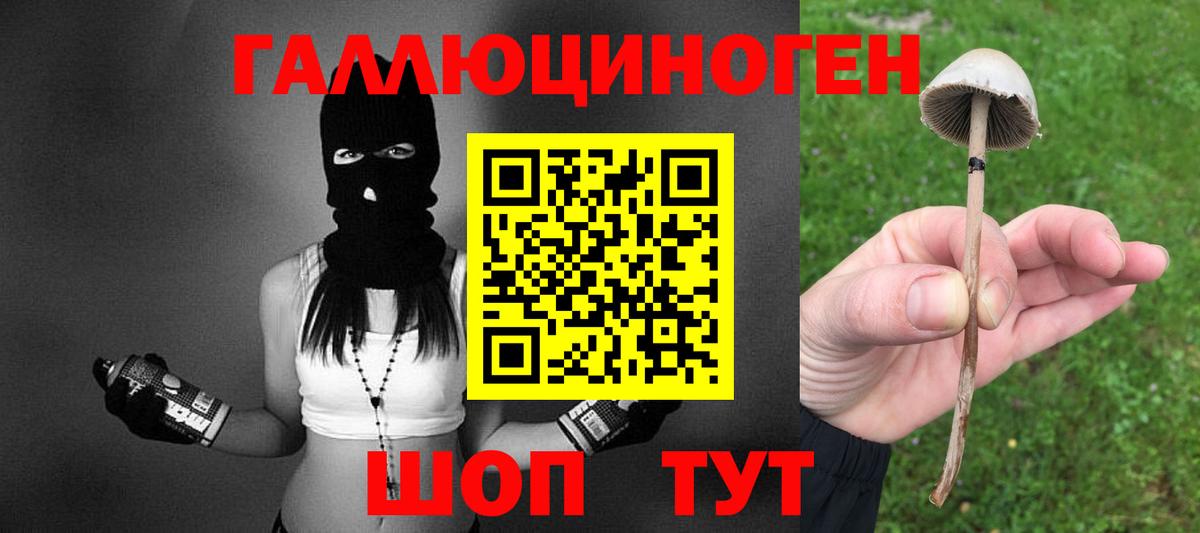 Псилоцибиновые грибы Psilocybine cubensis  Галлюциногенные грибы ЛСД  Йошкар-Ола  Вход с VPN 